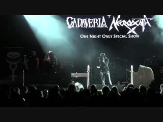 Cadaveria spell + orgasmatron (live)