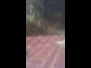 Live контактеры и посланники