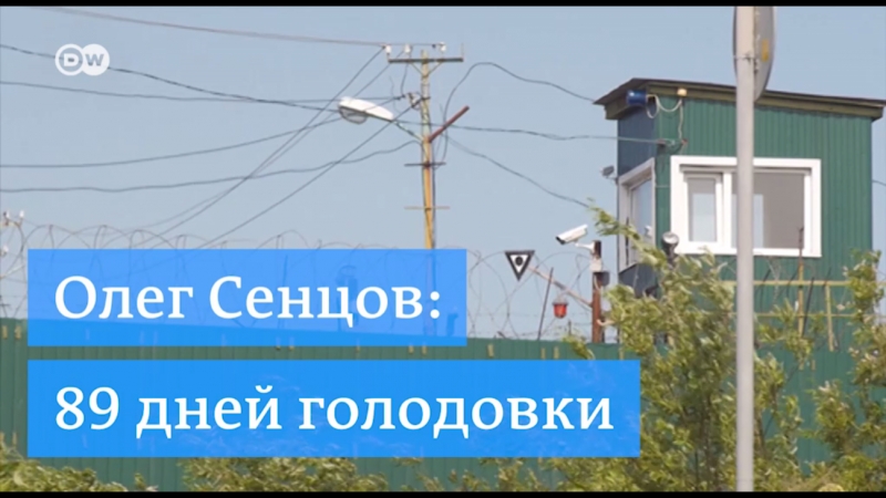 Сенцов porn video – Олег сенцов 89 дней голодои