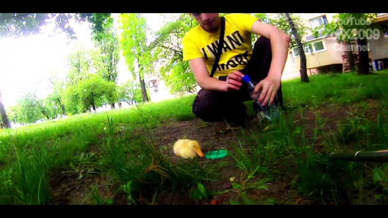 Выгуливаю утенка во дворе