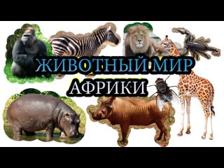 Молодые африки! учим секс для самых маленьких на русском! развивающие мульт