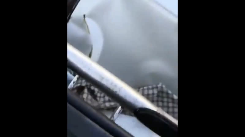 Когда перепил и сел за руль хаммера