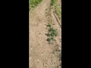 Jura vafin 20200622 0003 mp4