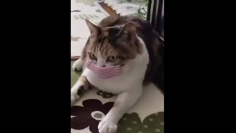 Дистанцию соблюдай!