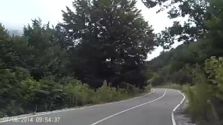 Вендетта шашлыка (vhs video)