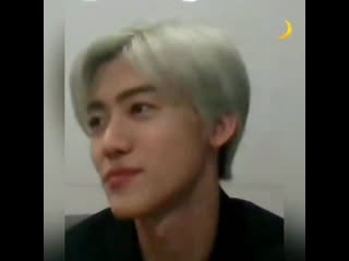 Секщи концепт нам пиздец