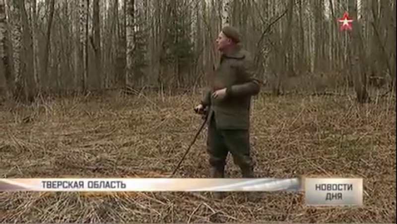 Останки погибших бойцов без именных медальонов найдены в тверской области
