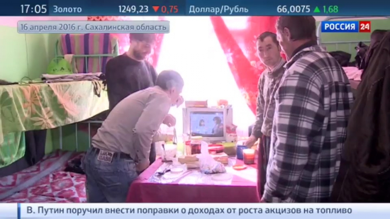 Шикотанские кукловоды экс директора "островного" арестовали, учредителю предъявили обвинения