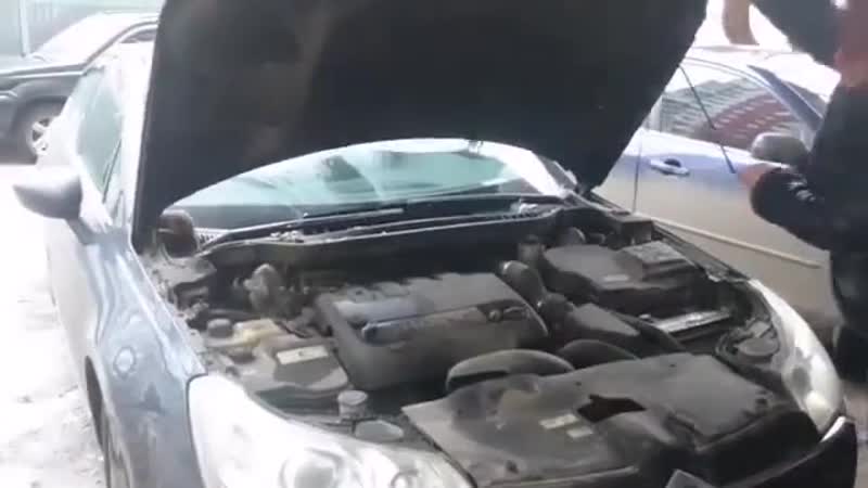 Каждое утро они греются