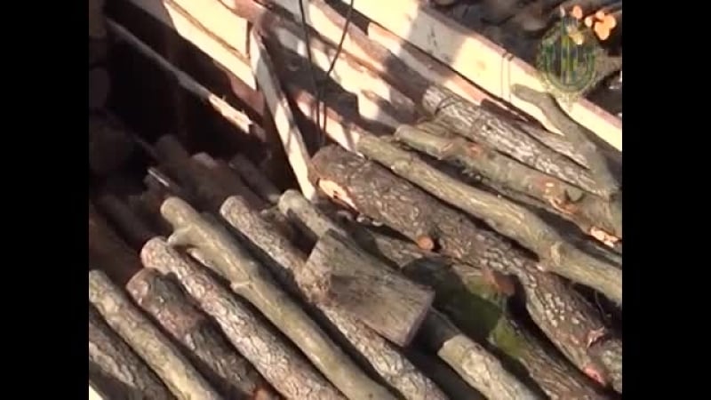 ✔ особое мнение украинские пограничники показали, как правильно прятать контрабанду в бревна
