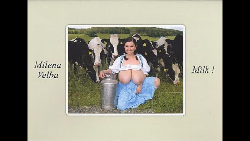 Milena velba dvd milk !