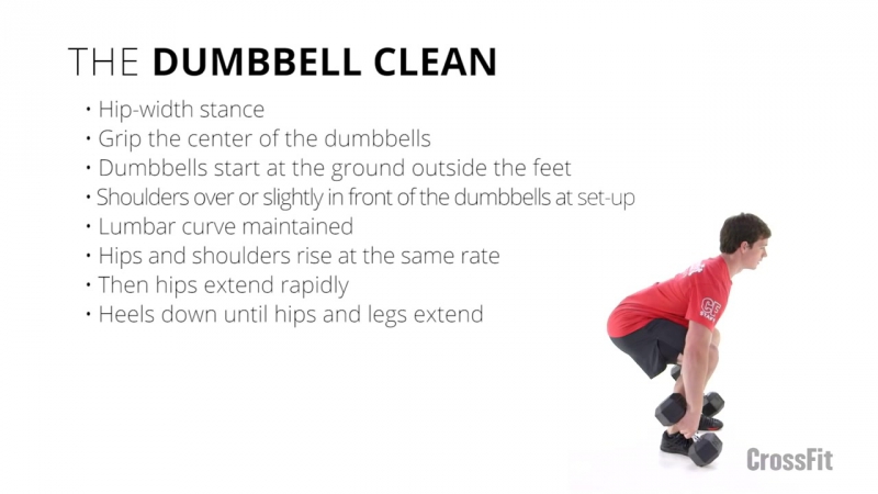 The dumbbell clean (підйом на груди з гантелею)