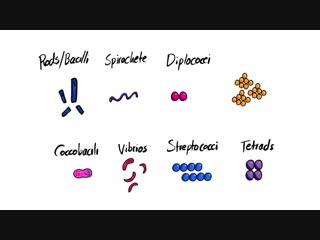 1 introduction to microbiology