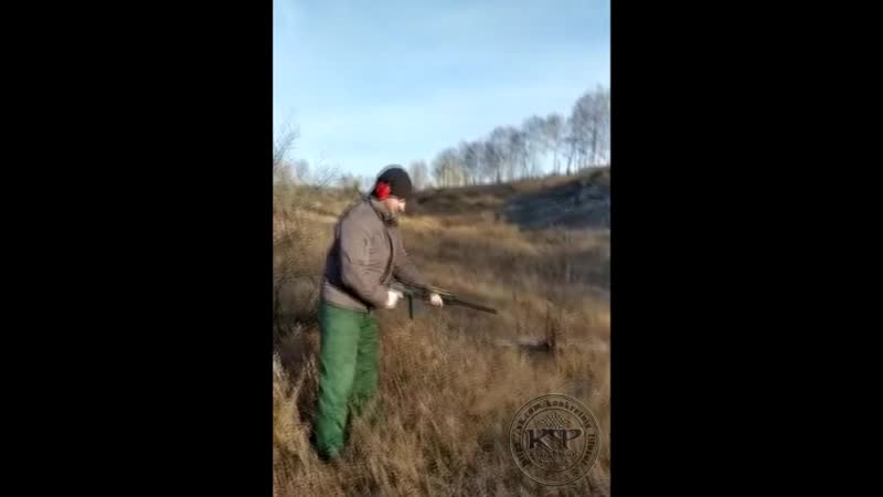 Дуло ромашкой