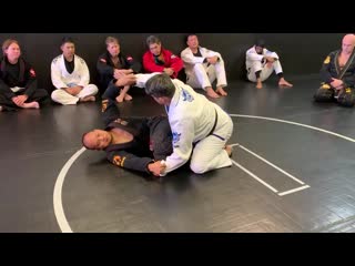 Ricardo cavalcanti how to pass a butterfly guard