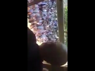 Студенты поддерживают своего препода