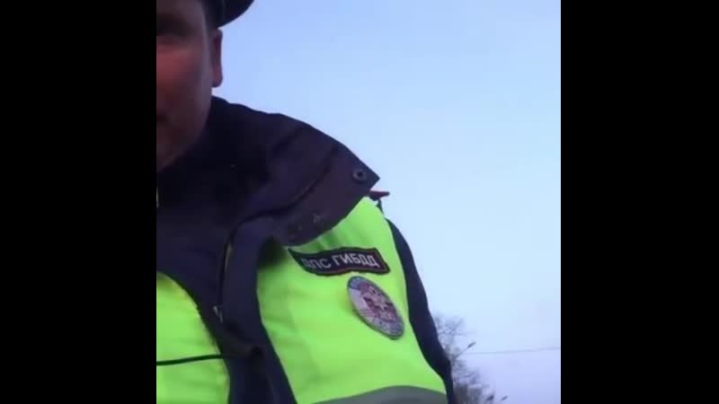 Пиздос видос