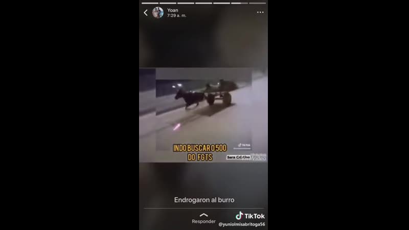 Накуренный осел