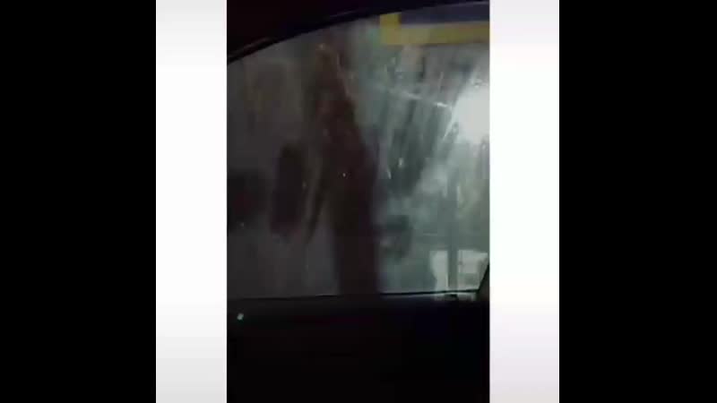 Может сосну