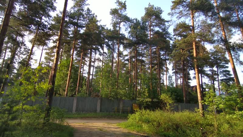 Во всеволожске шикардосик!