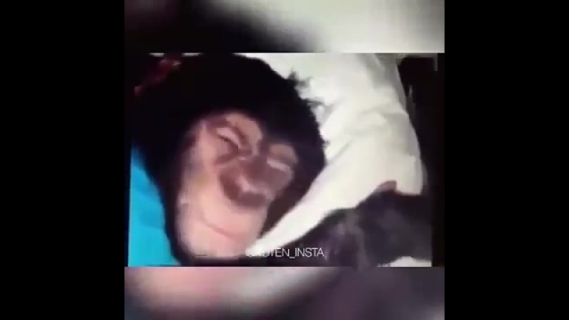 Когда будишь бухого друга на вписке