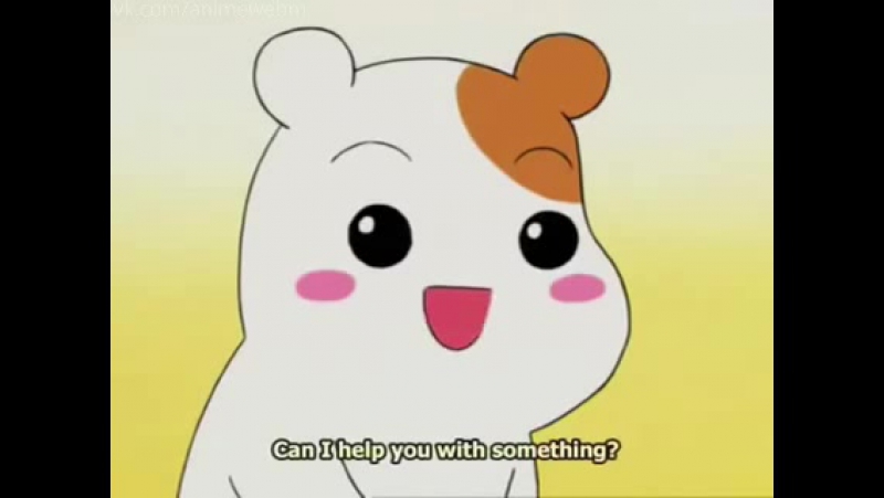 Oruchuban ebichu