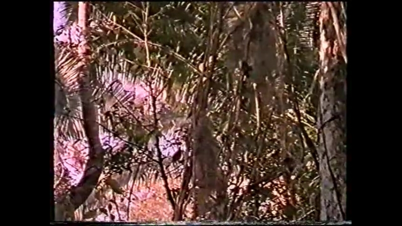 Хищник (1987) перевод а гаврилов