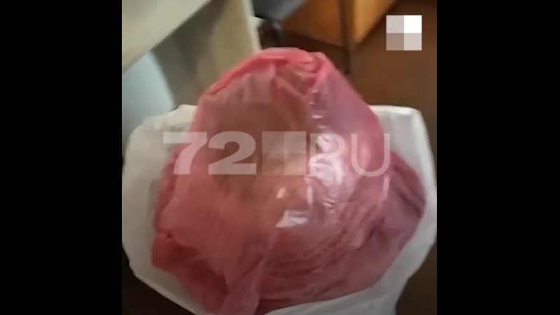 Колонии porn video – Пытки в тюменской колонии
