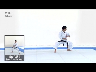 Seipai kata bunkai