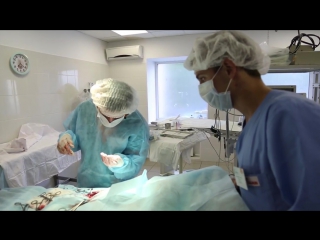 Ветеринары серия 2