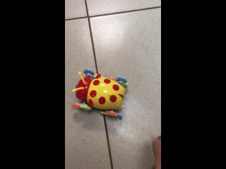 Ванька встанька