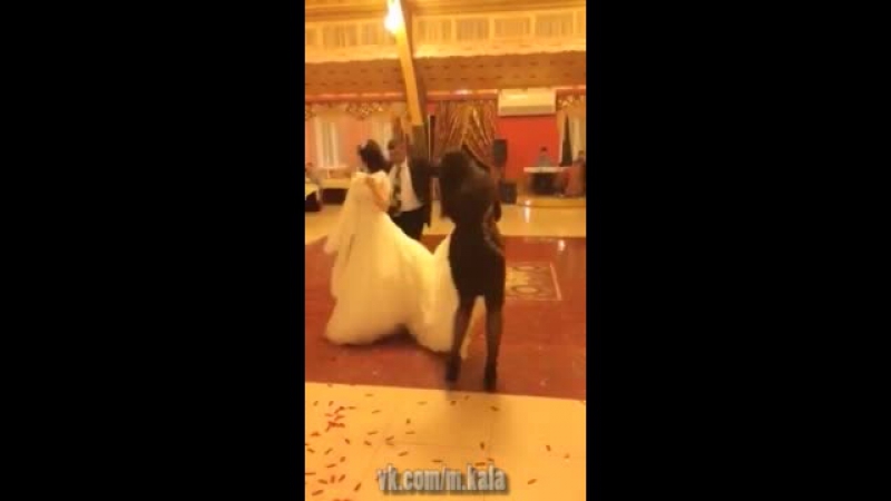 [махачкала] казус на свадьбе