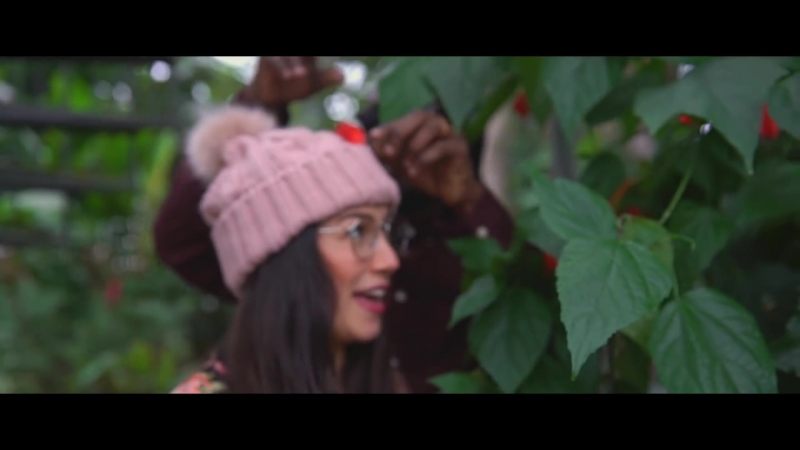 Sara lugo & randy valentine growing a jungle