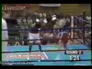 Shane mosley vs darko marovic в любителях