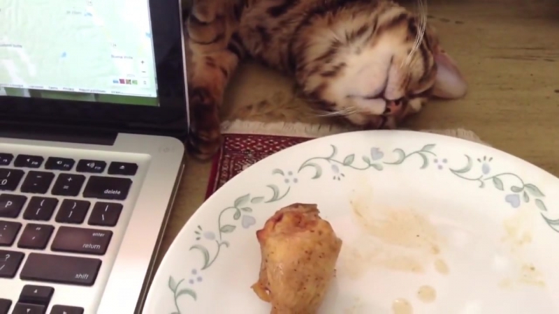 Эта ножка сводит меня с ума