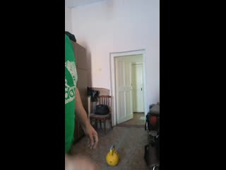 Vid 20201129 135531 mp4