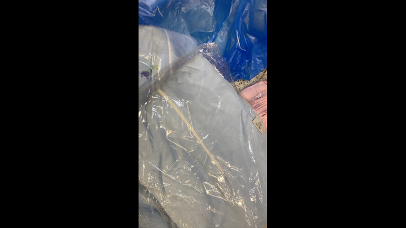 Коконы поступление