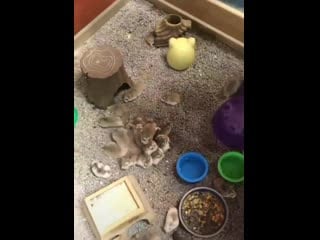 "then i'll huff, and i'll puff, and i'll blow your house away"