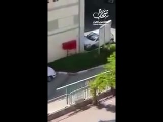 An old palestinian lady being chased, beaten, insulted and humiliated by god's chosen people in the occupied west bank