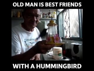 World's cutest old man is bffs with world's most outgoing hummingbird!