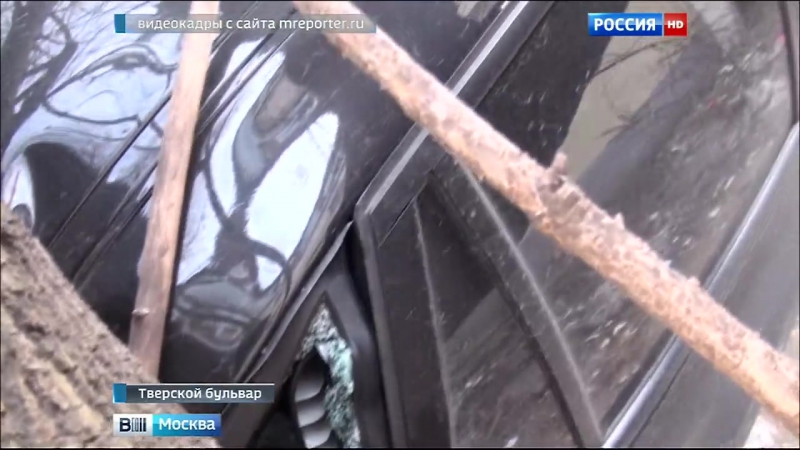 На тверском бульваре в москве на автомобили упали два дерева