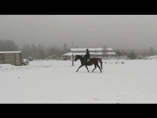 Видео от олеси ереминой