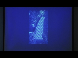 Sensory systems 9 illusions and visual prosthesis