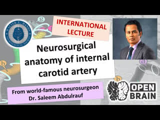 Neurosurgical anatomy of internal carotid artery