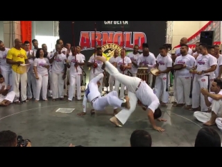 Abadá capoeira jogos arnold 2018 professores papagaio x lampanche