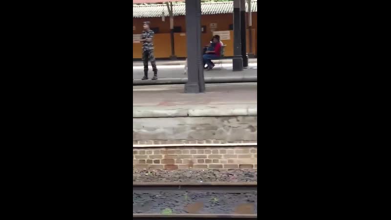 Pоliсе dоg having a brеak frоm wоrk