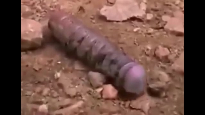 Құрттын қ*тагы?? новая песня ninety one