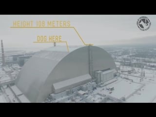 Chernobyl workers rappelling during rescue mission to save stray dog