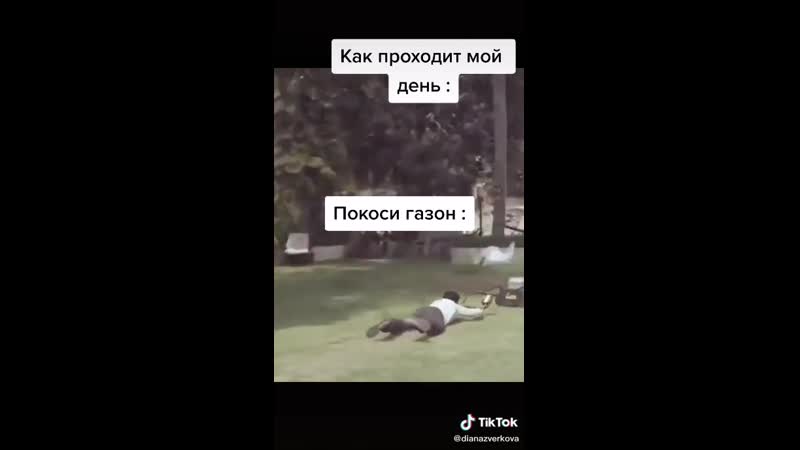 Прикольный видосик