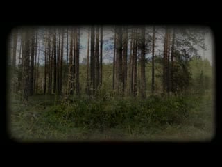 [ночь на кладбище] страшные истории на ночь поворот вслепую страшилки на ночь